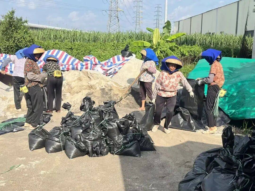 桦加沙”同心护南沙→pg电子模拟器防御“(图16)