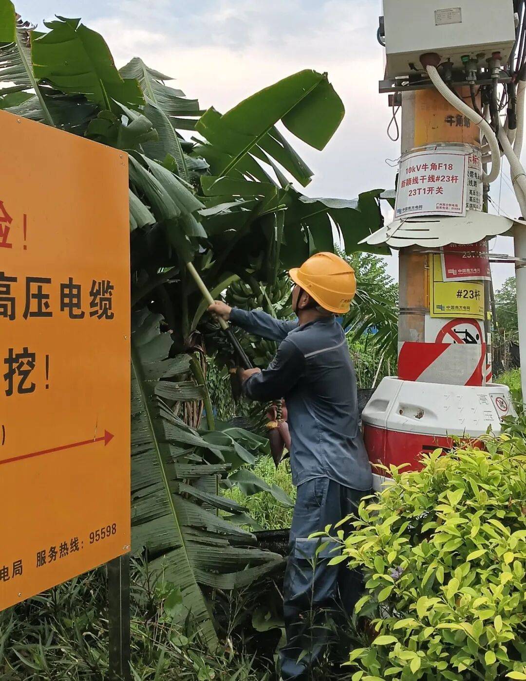 桦加沙”同心护南沙→pg电子模拟器防御“(图18)