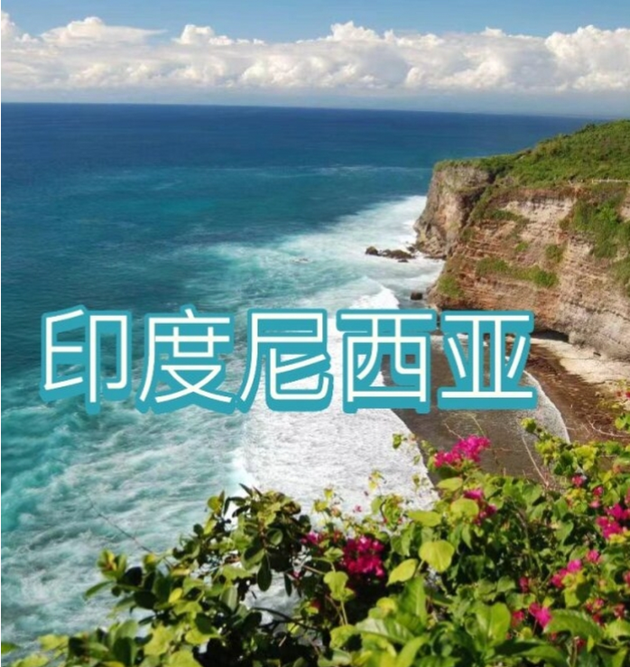 中国国际电商(印尼)产业博览会pg电子免费试玩模拟器2025(图2)