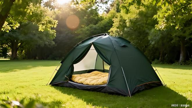 解析：从基础到进阶的实用指南pg电子模拟